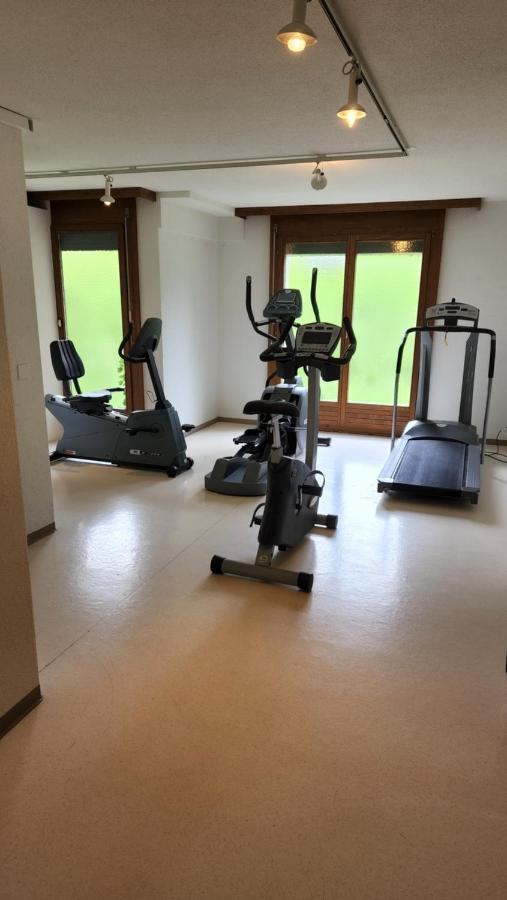 Schoene Ferienwohnung In Traumlage Fewo Solohike Seelisberg Kültér fotó
